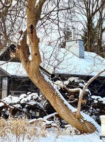 Fight for Warsaw’s wooden Finnish houses. Unique place in the capital