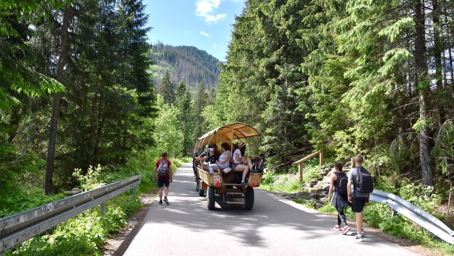Zważono wozy jeżdżące nad Morskie Oko 