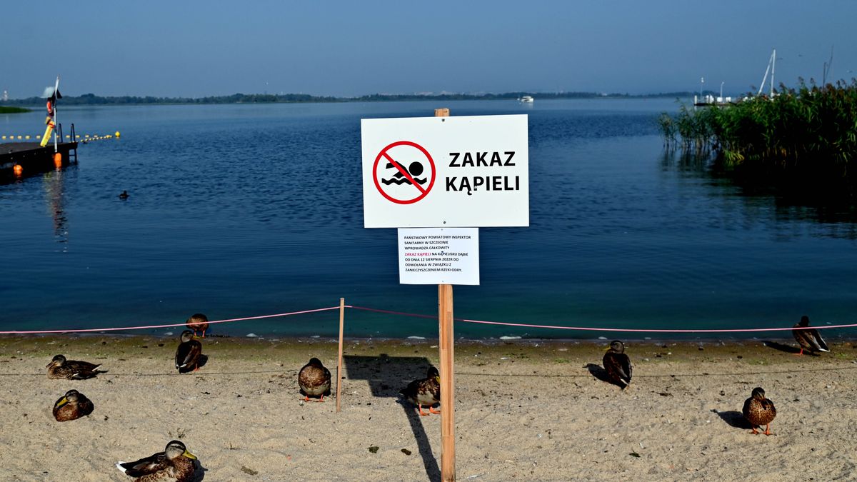 Szczecin, 26.08.2022. Zamknięte kąpielisko Dąbie w Szczecinie, 26 bm. Wojewoda zachodniopomorski przedłużył dzień wcześniej obowiązywanie zakazu kontaktu z wodami Odry do odwołania. Wyłączone z zakazu zostały Zalew Szczeciński i Roztoka Odrzańska. (ad) PAP/Marcin Bielecki ***Zdjęcie do depeszy PAP pt. Zachodniopomorskie/ Zakaz kontaktu z wodami Odry przedłużony - wyłączony Zalew Szczeciński i Roztoka Odrzańska***