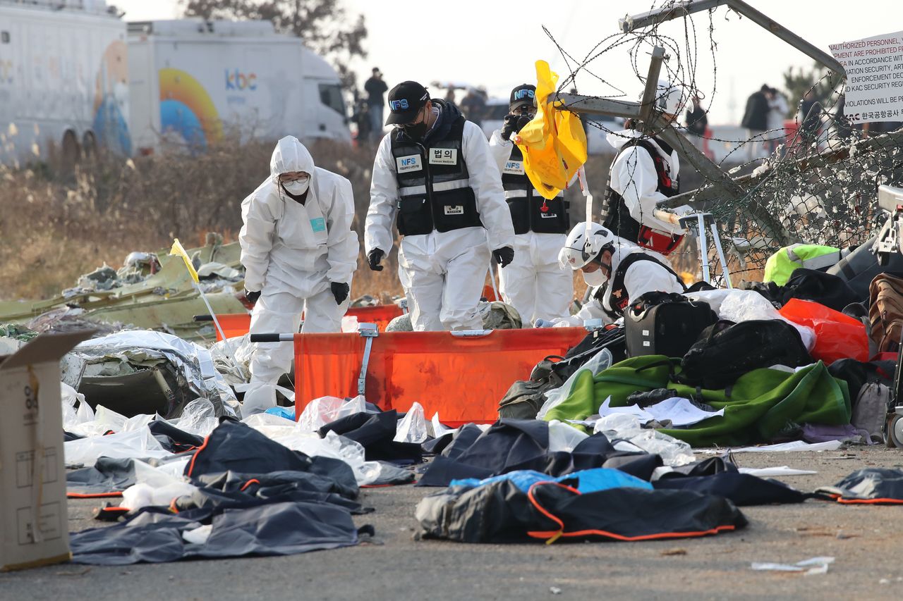 Plane crash in Muan, South Korea