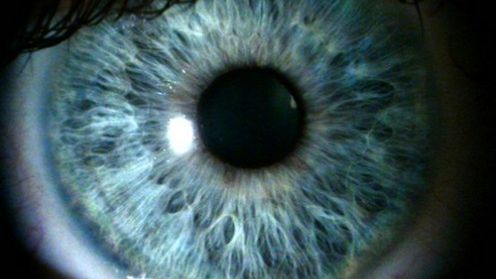 Kamera zamiast oka 1