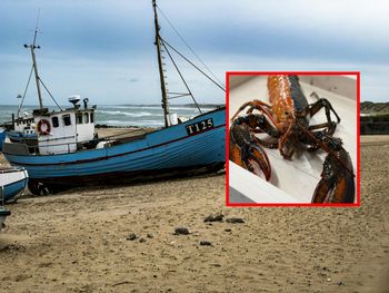 Złowili niezwykły okaz. Trafia się raz na 50 mln