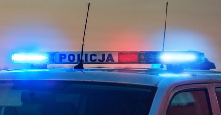 Zabił Wandę, pokrył jej ciało kwiatami i... pojechał do pracy. Szok!