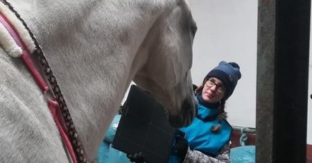 Bielsko-Biała. Pomagają koniom. Potrzebują wsparcia na dentystę