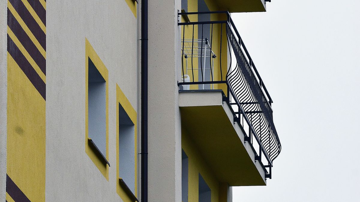 Zdenerwowany 36-latek wyrzucił z balkonu psa (zdj. ilustracyjne)