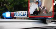 Policja dostała cynk. Znalezisko w sklepie pod Bydgoszczą