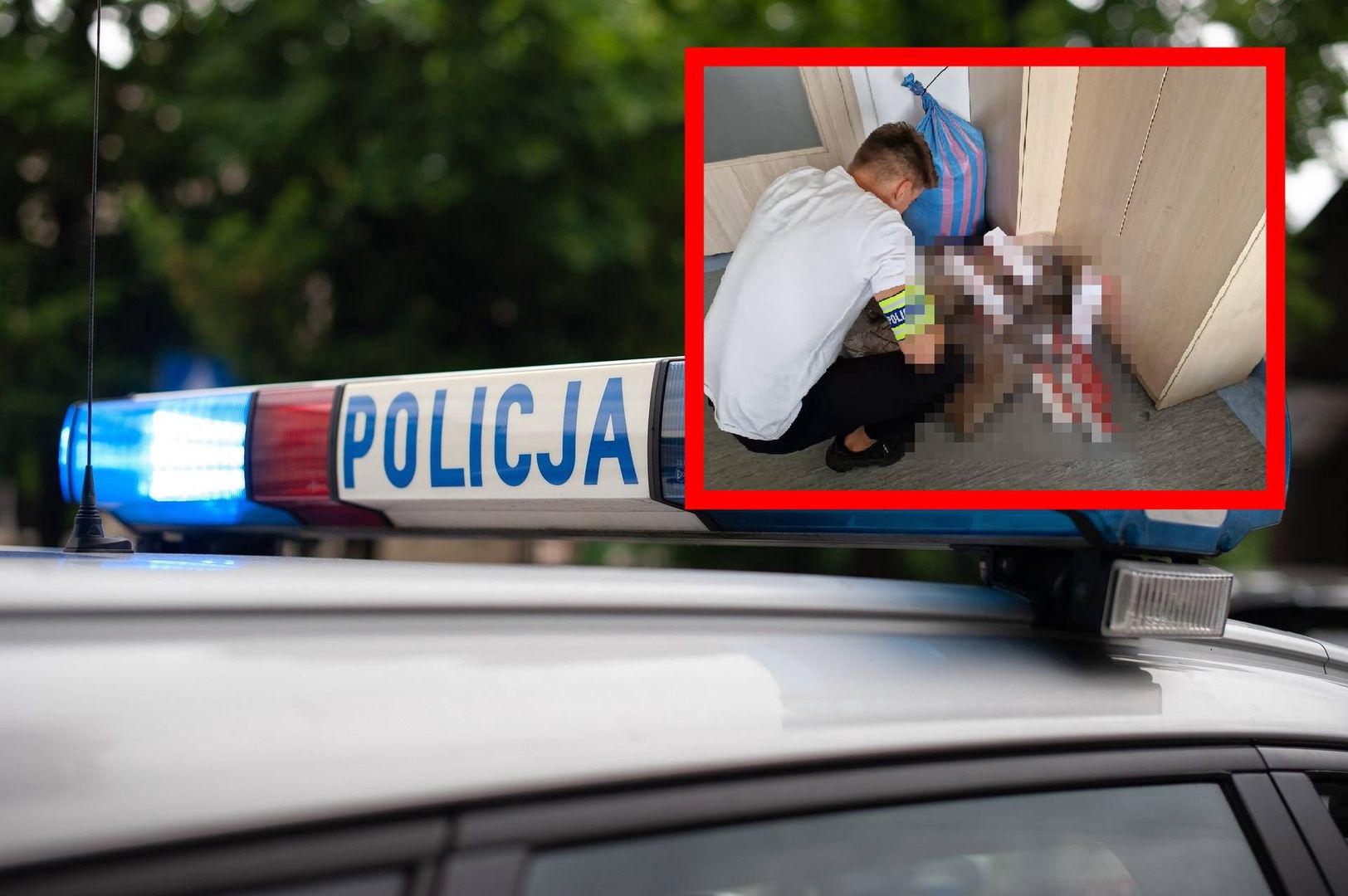 Bydgoska policja przeszukała sklep w centrum Koronowa 