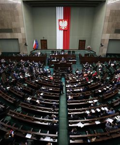 Wybory parlamentarne. Najnowszy sondaż IBRIS dla WP