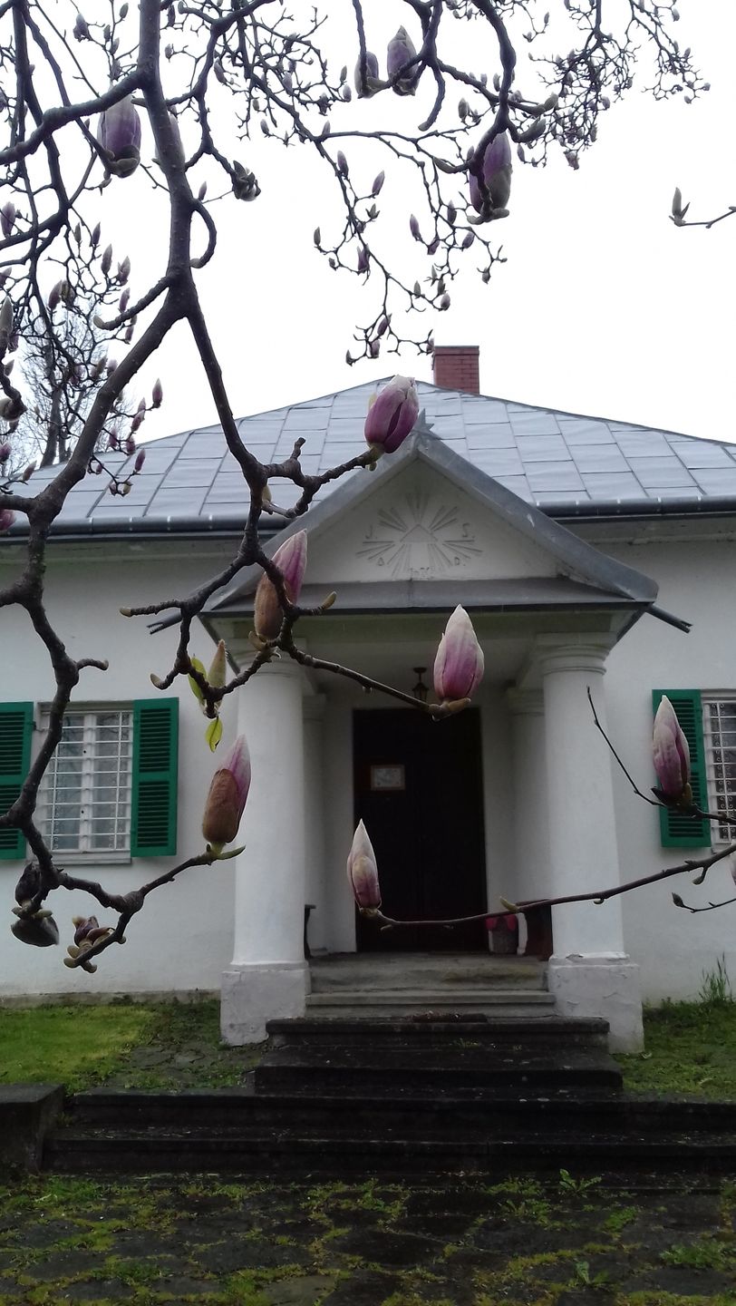 Grybów 