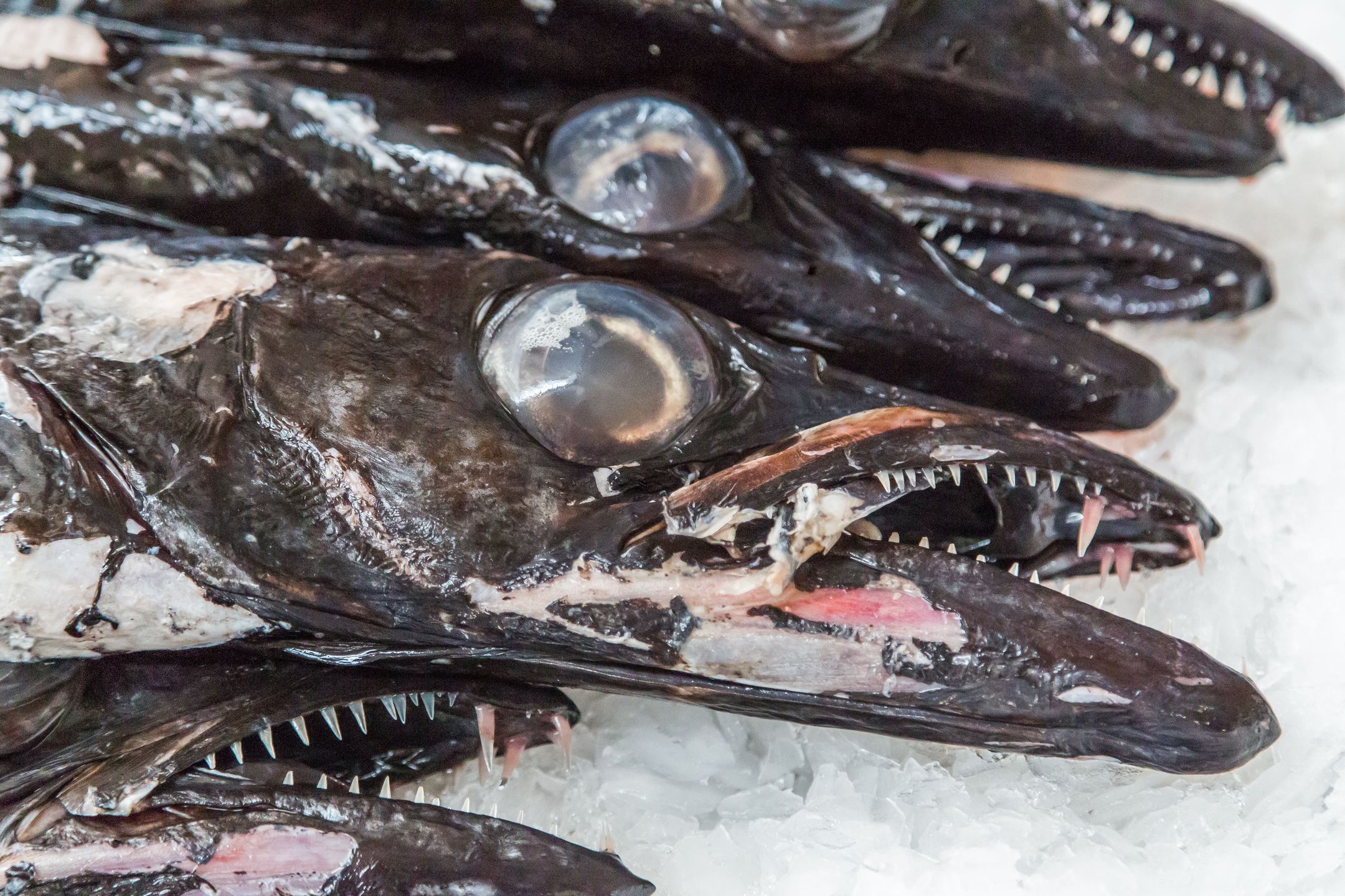 Espada nie wygląda zbyt zachęcająco