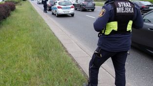 Warszawa: Chwile grozy na Wisłostradzie. Potrącona suczka walczy o życie