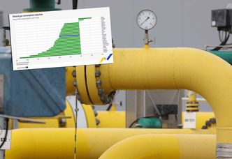 Oto jak po inwazji Rosji na Ukrainę spadło zużycie gazu w Unii Europejskiej. Polska na dole stawki