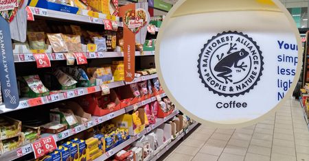 Logo z zieloną żabą na produktach spożywczych to ważna informacja. Wielu kupujących nie jest świadomych