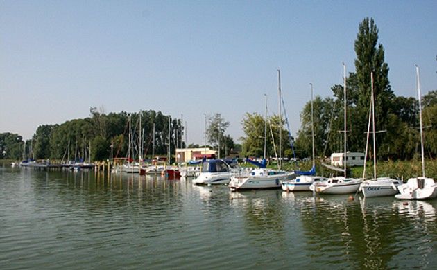 Obraz