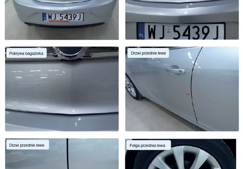 Raport będzie zawierał też zdjęcia