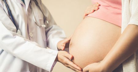 Łożysko po porodzie – jak wygląda i co się z nim dzieje?