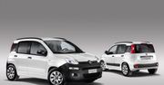 Fiat Panda Van - nowa broń drobnych przedsiębiorców