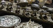 Wakacje 2020. Więzienie lub grzywna za nielegalne pamiątki