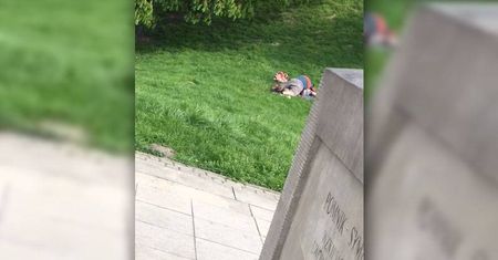 LUBLIN: Uprawiali seks przed Zamkiem na oczach przechodniów [WIDEO]