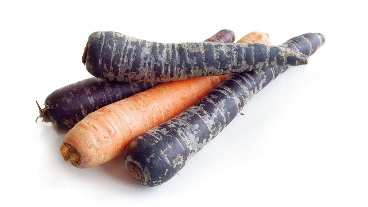 Czarna marchew - co to jest, składniki, właściwości zdrowotne, gdzie kupić, cena, przepis