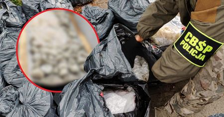 Sprawdzili prywatną posesję. Odkrycie warte 30 mln złotych. Nagranie