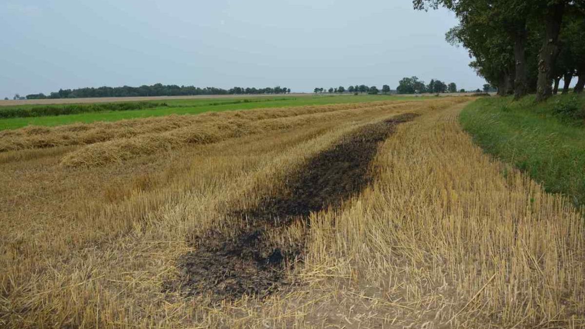 Podpalenie pola w Wielkopolsce. Policja bada inne incydenty