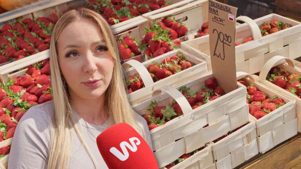 "Smakują truskawką". Pierwsze polskie owoce trafiły do sprzedaży