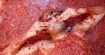 Tomatina - najbardziej szalona impreza w Europie