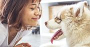 Tips for Smooth &amp; Silky Dog Fur
