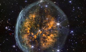 Niczym mózg w przezroczystej czaszce. Fenomenalne zdjęcie z Webba