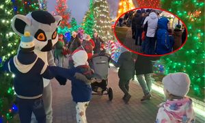 Atrakcja w małej wsi przyciągnęła tłumy. Na miejscu kolejki i pełne parkingi