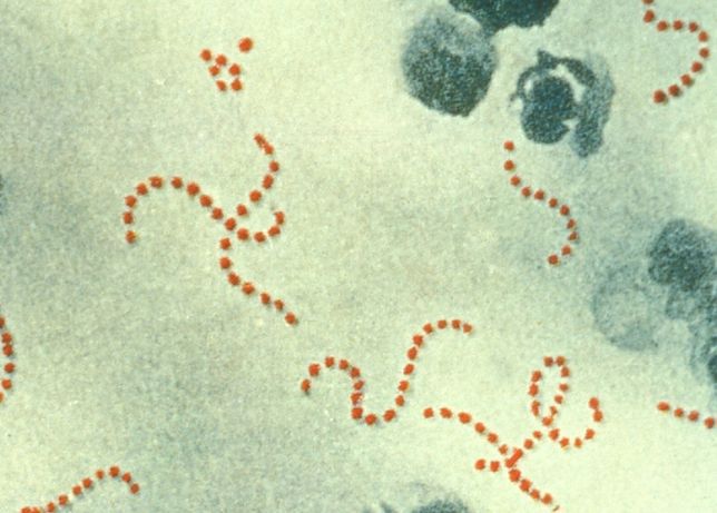 Groźna choroba atakuje. Grozi nam druga pandemia? Zagrożone są głównie dzieci