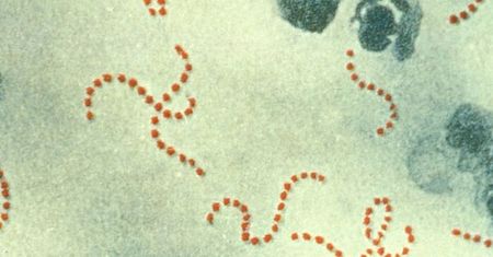 Groźna choroba atakuje. Grozi nam druga pandemia? Zagrożone są głównie dzieci