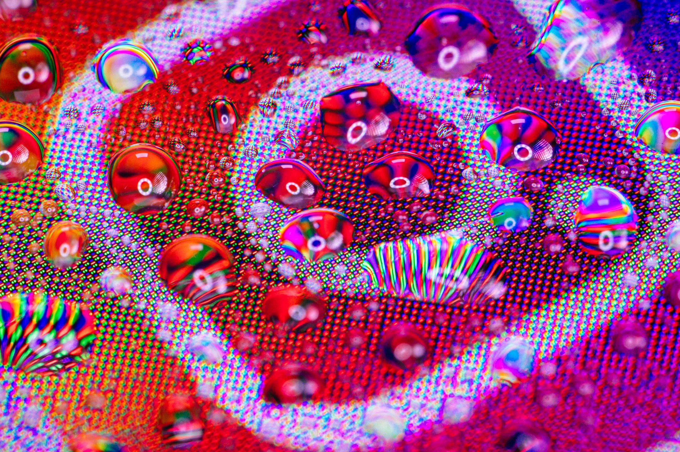 Mitakon 85 mm f/2.8 Macro to obiektyw, który może zmienić świat tej dziedziny 13