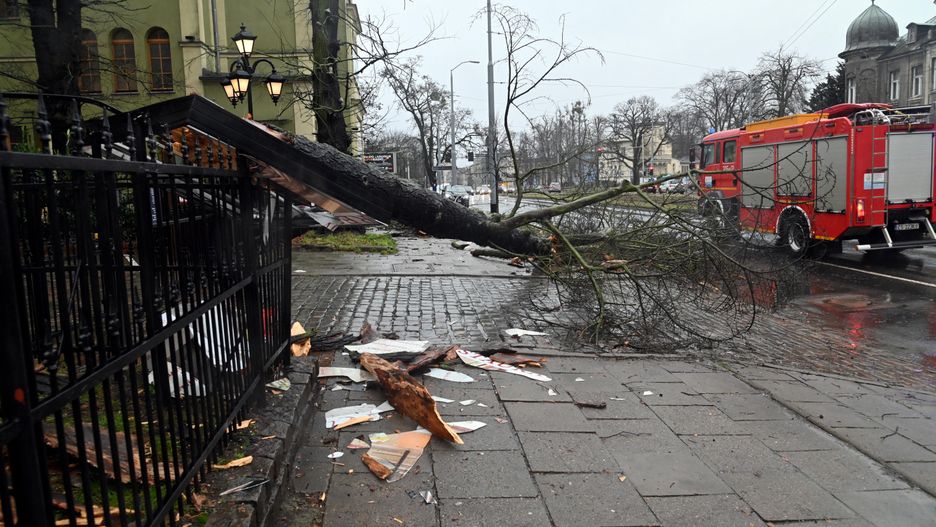 Skutki wichur w Polsce