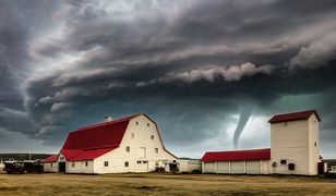 Trump ma problem. Rekord tornad uderzył w USA, a to nie koniec