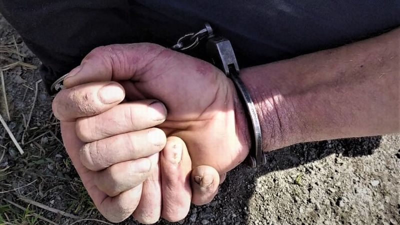 policja zatrzymanie