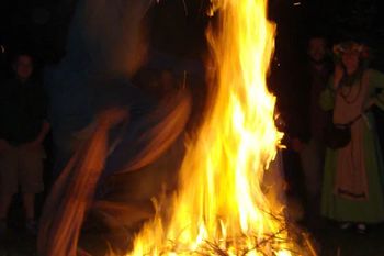 Restrykcje i odwołane ogniska wielkanocne. W Niemczech panuje choroba dzików