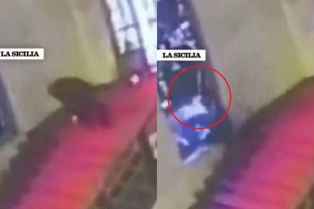 Wpadka we Włoszech. Warta nawet 40 tys. euro