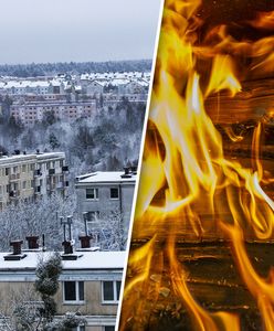 Siarczyste mrozy w Polsce. Pytamy o dostępność drewna opałowego