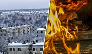 Siarczyste mrozy w Polsce. Pytamy o dostępność drewna opałowego