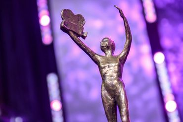 Statuetka Telekamery Tele Tygodnia 