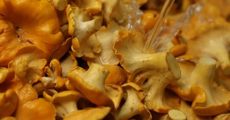 Jak wyczyścić kurki? Prosty i niezawodny sposób