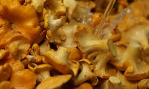 Jak wyczyścić kurki? Prosty i niezawodny sposób