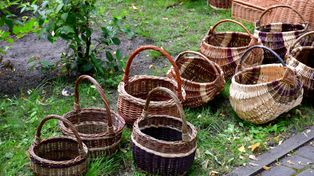 Ostromecko: Powstanie wiklinowe "Gniazdo"