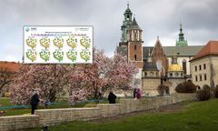 Nadchodzi chwilowe ocieplenie. Są nowe prognozy