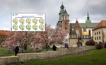 Nadchodzi chwilowe ocieplenie. Są nowe prognozy