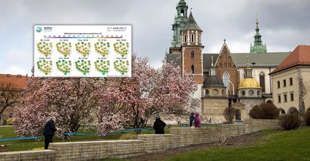 Nadchodzi chwilowe ocieplenie. Są nowe prognozy