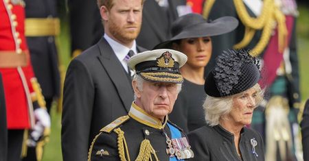 Harry miał propozycję dla Karola. Camilla aż opluła się herbatą