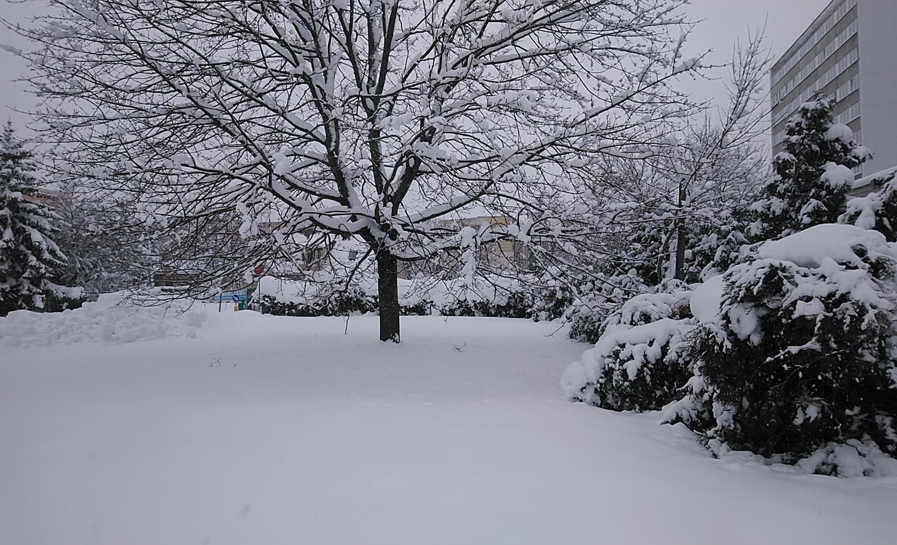 Opady śniegu na Podlasiu